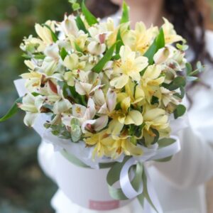 Коробочка разноцветной альстромерии